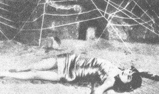 猪八戒和蜘蛛精的故事 猪八戒和蜘蛛精的故事