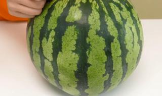 曹县翰林府吃瓜事件