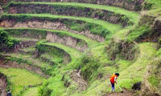 来年一定是个好年歌曲