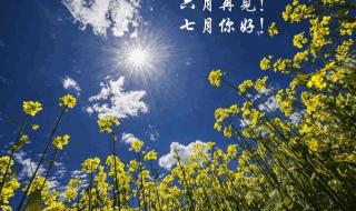 7月你好的心情句子图片 六月再见七月你好图片